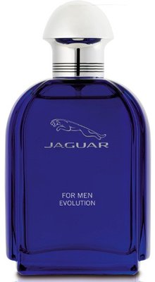 Jaguar for Men Evolution edt 100ml Чоловіча Туалетна Вода Ягуар Еволюшін 577321184 фото
