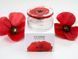 Kenzo Flower In the Air 100ml edp (З цим квітковим ароматом ви самі расцветаете, немов розкішний квітка) 80501586 фото 4