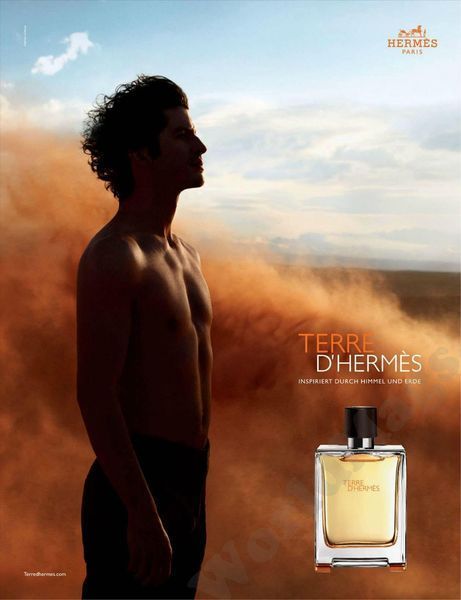 Гермес Терре Де Гермес 100ml edt Hermes Terre D'Hermes 468612823 фото