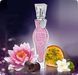 Secret Potion Christina Aguilera 100ml edp (жіночний, розкішний, блискучий) 42583181 фото 5