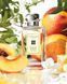Jo Malone Nectarine Blossom & Honey 100ml Джо Малон Нектарин Блоссом и Мед 675819146 фото 3