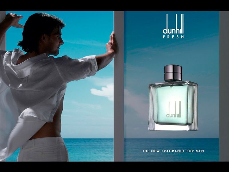 ALFRED DUNHILL Dunhill Fresh 100ml edt (солидный, стильный, мужественный) 47226865 фото