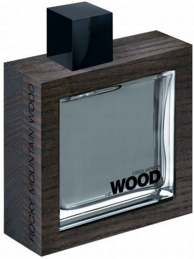 Dsquared2 He Wood Silver Wind Wood 100ml edt (уверенный, мужественный, соблазнительный) лиц 90692556 фото