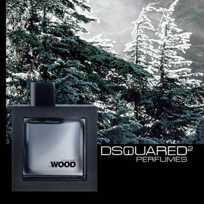 Dsquared2 He Wood Silver Wind Wood 100ml edt (уверенный, мужественный, соблазнительный) лиц 90692556 фото