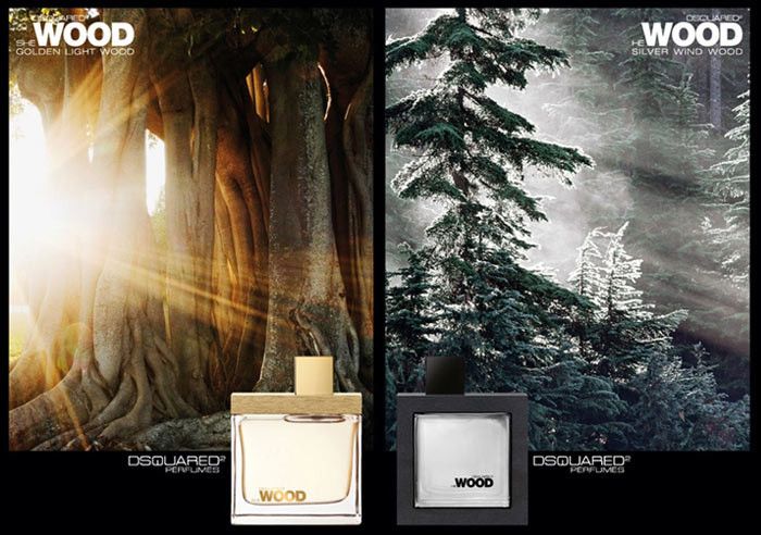 Dsquared2 He Wood Silver Wind Wood 100ml edt (уверенный, мужественный, соблазнительный) лиц 90692556 фото