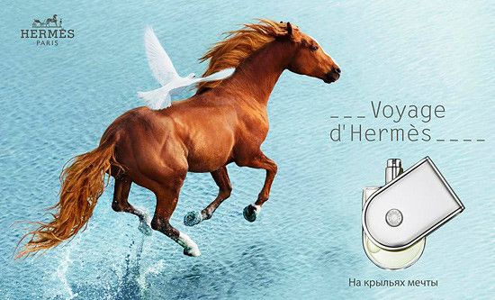 Hermes Voyage d´Hermes 100ml edt (Сияющий шедевральный парфюм унисекс будет идеальным ароматом весной и летом) 78495747 фото