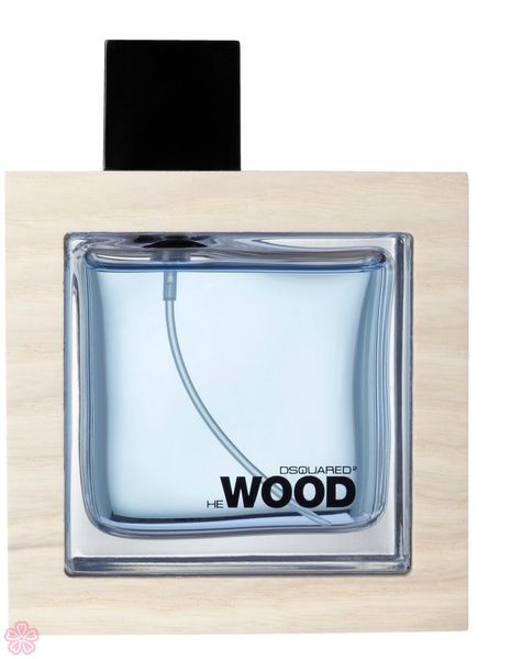 Dsquared2 He Wood Ocean Wet Wood 100ml edt Дискваред Хи Вуд Океан Вит Вуд 550496607 фото