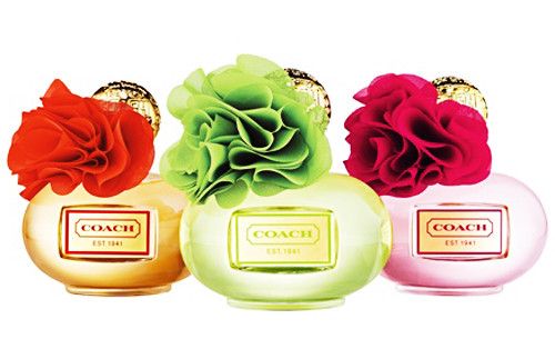 жіночі парфуми Coach Poppy Citrine Blossom 100ml edp (яскравий, легкий, соковитий, гармонійний, легкий) 42788214 фото