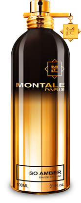 Montale So Amber 100ml edp Монталь Со Амбер / Монталь Амбра 371294024 фото