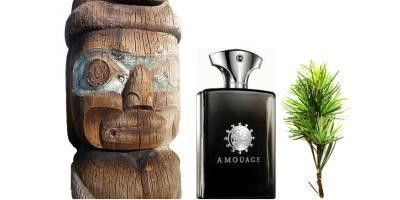 Amouage Memoir Man (насыщенный, придающий уверенность, решительность, мужественный, дорогой аромат) 46696954 фото