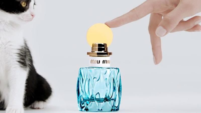 Miu Miu L’Eau Bleue 50ml edp Женские Духи Миу Миу Лью Блю 1090540762 фото