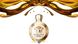 Eros Versace Pour Femme 100ml edp (роскошный, чувственный, соблазнительный аромат) 143034948 фото 5