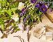 Chloe Eau De Fleurs Lavande ( спокусливий, чуттєвий аромат) 38807233 фото 4