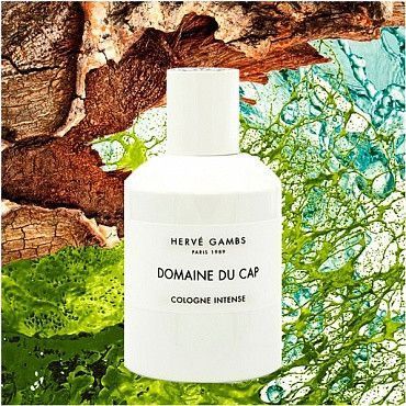 Herve Gambs Domaine du Cap 100ml edс Нішевий Одеколон Унісекс Ерве Гамбс Домен дю Кап 577785894 фото