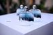 Acqua di Gioia Essenza 50ml edp (лёгкий, прохладный, освежающий,женственный,притягательный) 1502856304 фото 9