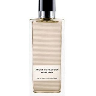 Angel Schlesser Ambre Frais Homme 100ml edt Ангел Шлессер Амбре Фрайс Ом 524121947 фото