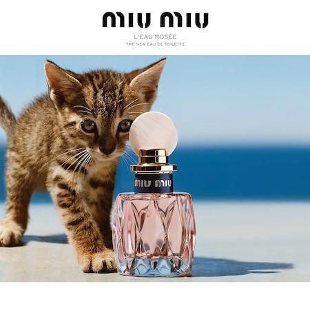 Miu Miu L'eau Rosee 50ml Жіночі Парфуми Міу Міу Ллю Росії 1501671499 фото