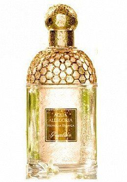Guerlain Aqua Allegoria Nerolia Bianca 75ml edt Женская Туалетная Вода Герлен Аква Аллегория Нероли Б 575453167 фото